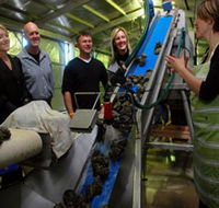 Eyre Peninsula's Seafood Trail - Hotel Accommodation