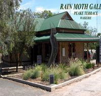 Rain Moth Gallery - Hotel Accommodation