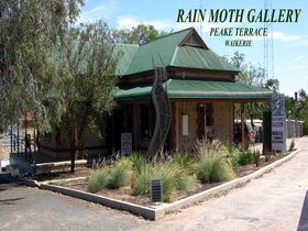 Rain Moth Gallery - Hotel Accommodation 0