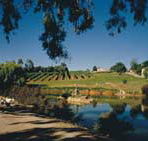 Mount Hurtle Winery home of Geoff Merrill Wines - Hotel Accommodation