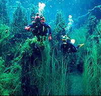 Ewens Ponds Conservation Park - Hotel Accommodation