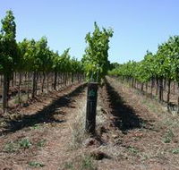 Temple Bruer Winery - Hotel Accommodation