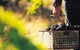 Burge Family Winemakers - thumb 0