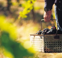 Burge Family Winemakers - Hotel Accommodation