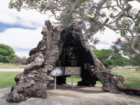 The Herbig Family Tree - Hotel Accommodation 0