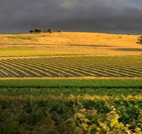 Kellermeister Wines - Hotel Accommodation