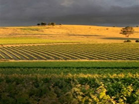 Kellermeister Wines - Hotel Accommodation 0