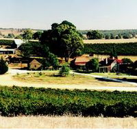 Irvine Wines - Hotel Accommodation