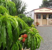 Gully Gardens - Hotel Accommodation