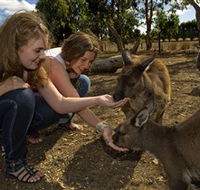 Kangaroo Island Wildlife Park - Hotel Accommodation