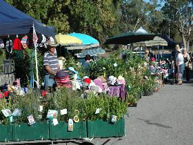 Meadows Monthly Market - Hotel Accommodation 0