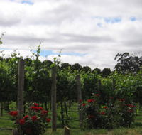 Manyara Vineyard - Hotel Accommodation