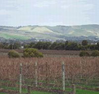 Mclaren Vale Premium Wines - Hotel Accommodation