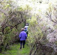 Jack And Hilda McArthur Walk - Hotel Accommodation