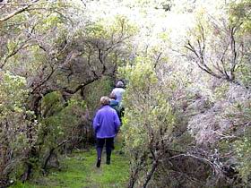 Jack And Hilda McArthur Walk - Hotel Accommodation 0