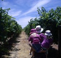 McLaren Vale Orchards - Hotel Accommodation