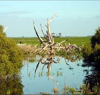 Bool Lagoon Game Reserve and Hacks Lagoon Conservation Park - Hotel Accommodation