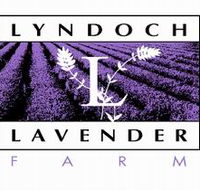 Lyndoch Lavender Farm and Cafe - Hotel Accommodation