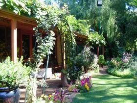 Rainforest Retreat - Hotel Accommodation 0