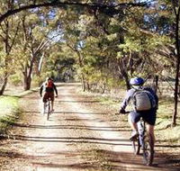 Bike About Mountain Bike Tours And Hire - Hotel Accommodation