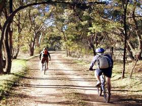 Bike About Mountain Bike Tours And Hire - Hotel Accommodation 0