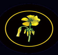 Battle of Bosworth Wines