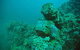 Adelaide's Underwater Heritage Trail - thumb 0
