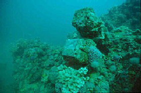 Adelaide's Underwater Heritage Trail - Hotel Accommodation 0