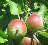 Sage Cooking School - Hotel Accommodation