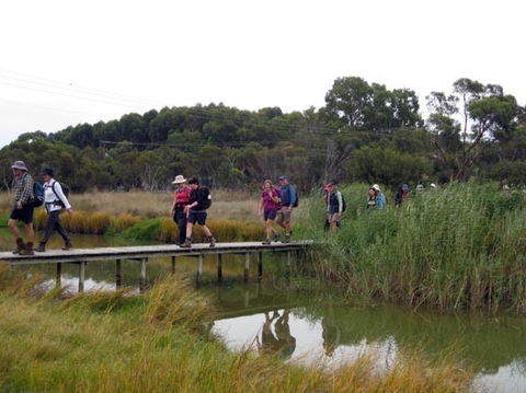 Lavender Federation Trail - Hotel Accommodation 1