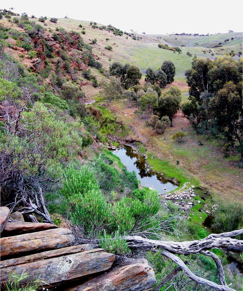 Lavender Federation Trail - Hotel Accommodation 3