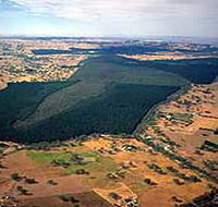 Mount Crawford Forest Reserve - Hotel Accommodation