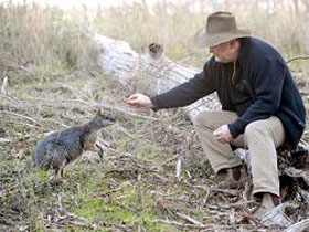 Sinclair's Gully - Hotel Accommodation 0