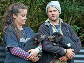 Devils@cradle - Hotel Accommodation 0