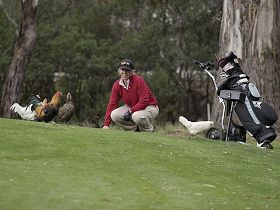 Tasmania Golf Club - The - Hotel Accommodation 0