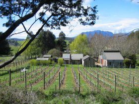 Wilmot TAS Hotel Accommodation