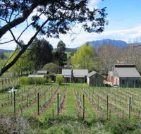 Wilmot Hills Vineyard - Hotel Accommodation