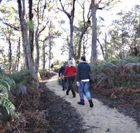 Bridport Walking Track - Hotel Accommodation