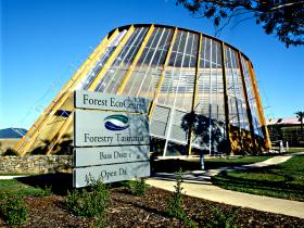 Forest EcoCentre - Hotel Accommodation 0