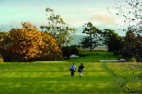 Hagley TAS Hotel Accommodation