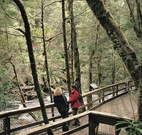 Franklin River Nature Trail - Hotel Accommodation