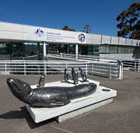 Australia's Antarctic Headquarters