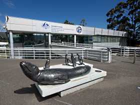 Australia's Antarctic Headquarters - Hotel Accommodation 0