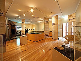 Tasmanian Tiger Exhibition - Hotel Accommodation 0