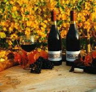 Craigow Vineyard - Hotel Accommodation