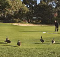 Royal Hobart Golf Club - Hotel Accommodation