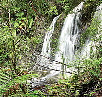Hogarth Falls - Hotel Accommodation