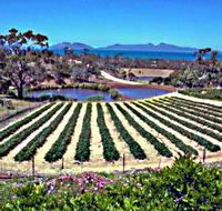 Kate's Berry Farm - Hotel Accommodation