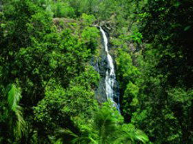 Montville QLD Hotel Accommodation