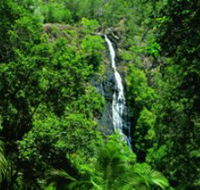 Kondalilla National Park - Hotel Accommodation